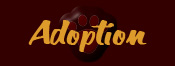 Adoption