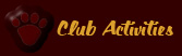 Club Activities