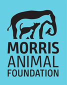 Morris Animal Foundation